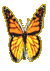 butterflygif